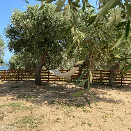 Tatil Evi Dream House Alikí