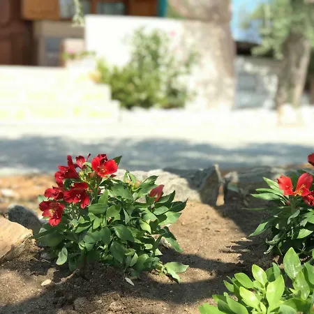 Dream House Tatil Evi