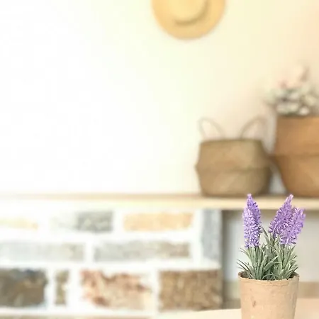 Tatil Evi Dream House