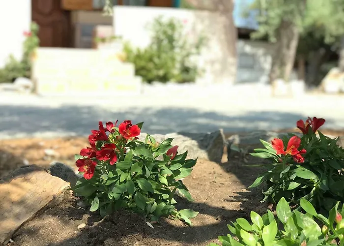 Dream House Hébergement de vacances