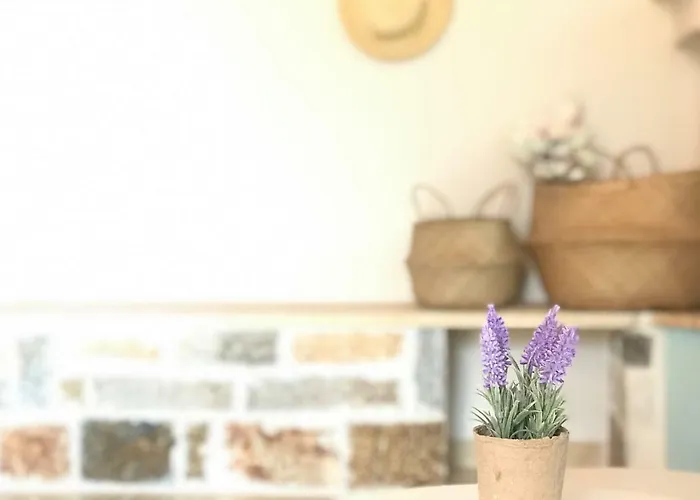 Hébergement de vacances Dream House