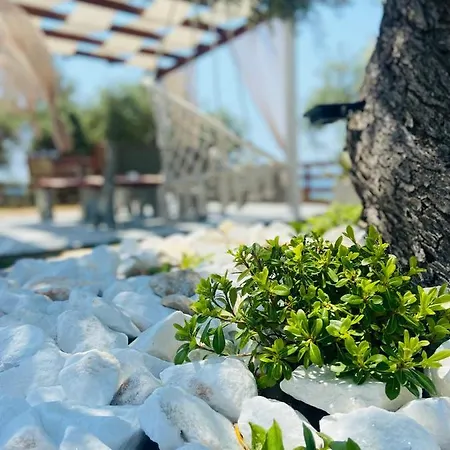 Dream House Aliki (Thasos)