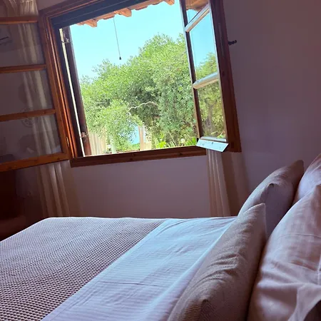 度假居 Dream House *